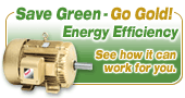 Save Green - go gold! Energy Efficientcy - See how it can work for you.
